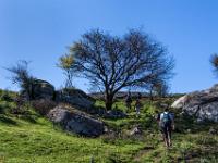 Aufstieg über Wiesen zwischen Felsen und einzelnen Bäumen